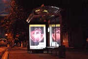 Передвижная фотовыставка-конкурс «Мир вокруг тебя!» 