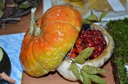 DSC_1461.JPG