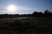 DSC_0926.JPG