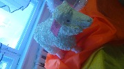 DSC01090.JPG