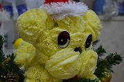 DSC_5870.JPG