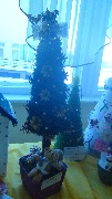 DSC01095.JPG