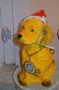 DSC_5908.JPG