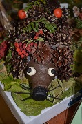 DSC_1393.JPG