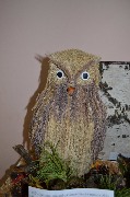DSC_1391.JPG