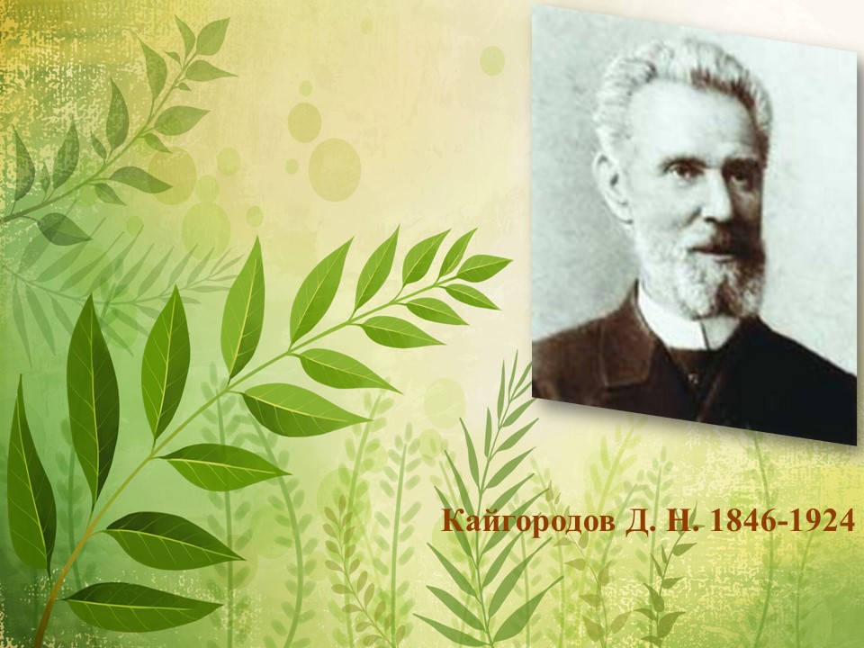 kaigorodov.jpg kaigorodov.jpg