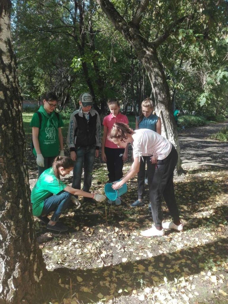 IMG-96b249c3d1f4605bc92732a85616b2dd-V.jpg