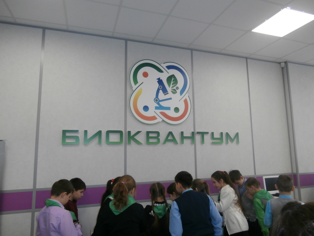PB280196.JPG