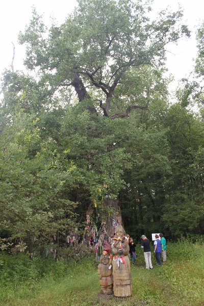 image011.jpg